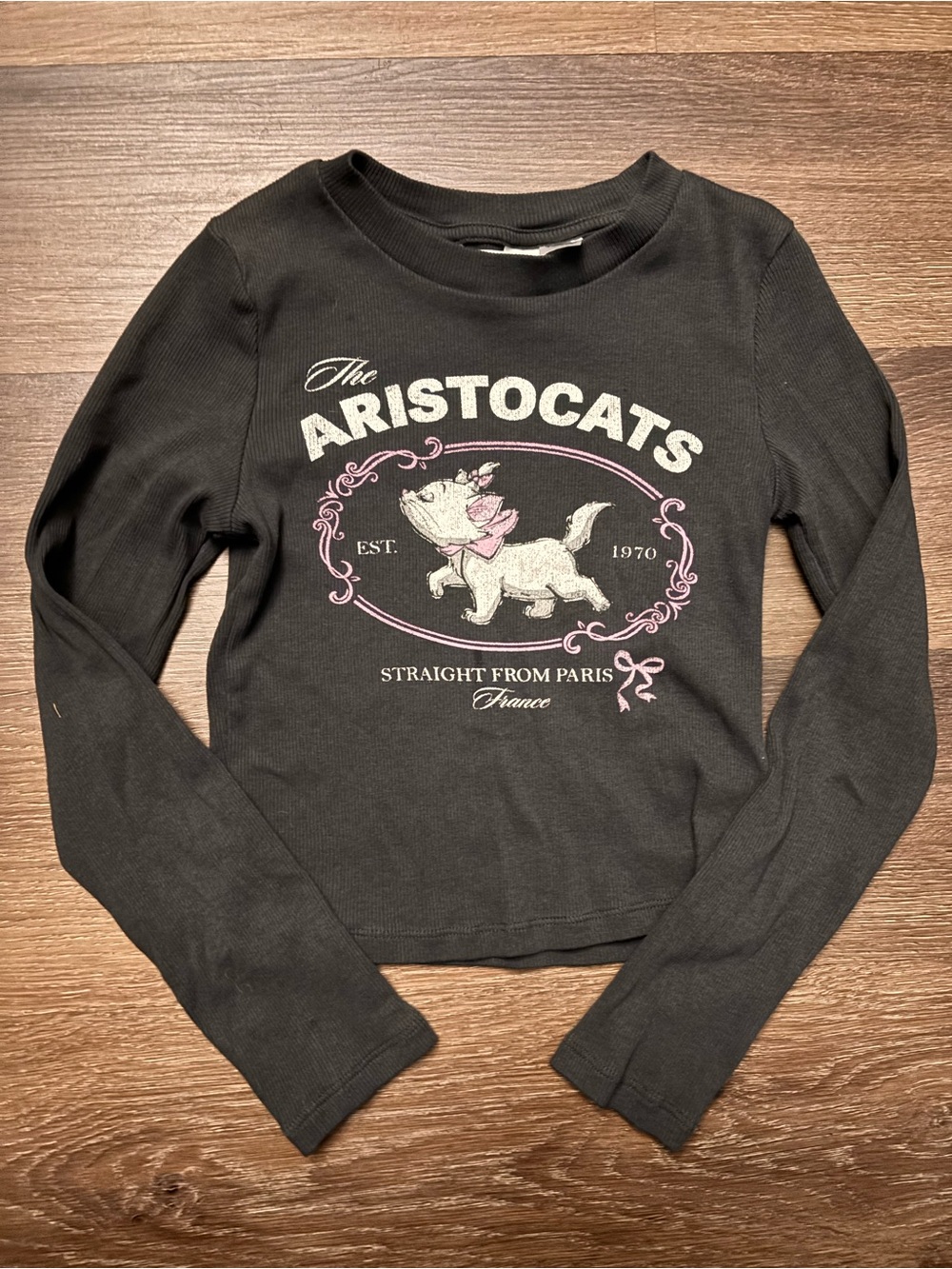Disney The Aristocats Black Sweatshirt with Pink & White Graphic